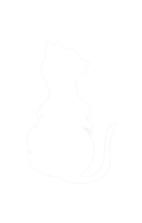 Fat Cat Food Corp